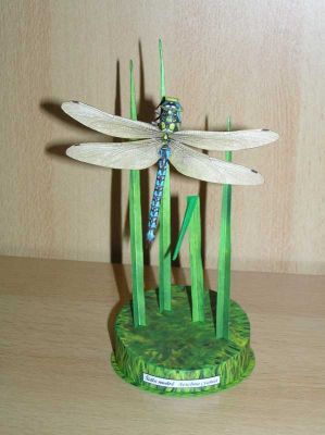 Klikněte pro zobrazení původního obrázku