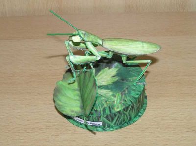 Klikn�te pro zobrazen� p�vodn�ho obr�zku