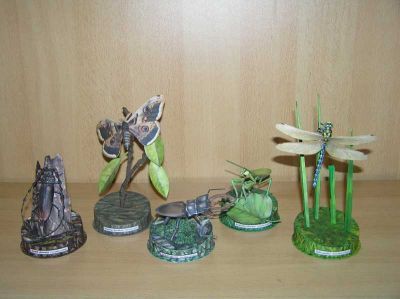 Klikněte pro zobrazení původního obrázku