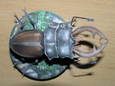 Klikn�te pro zobrazen� p�vodn�ho obr�zku